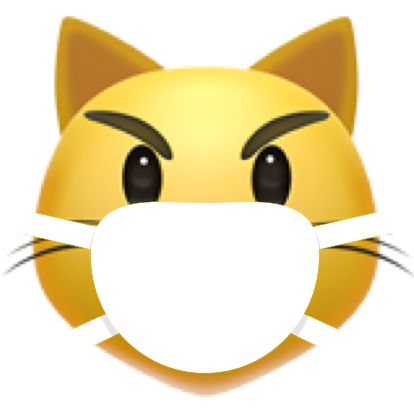 masked_cat_face
