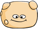yeast